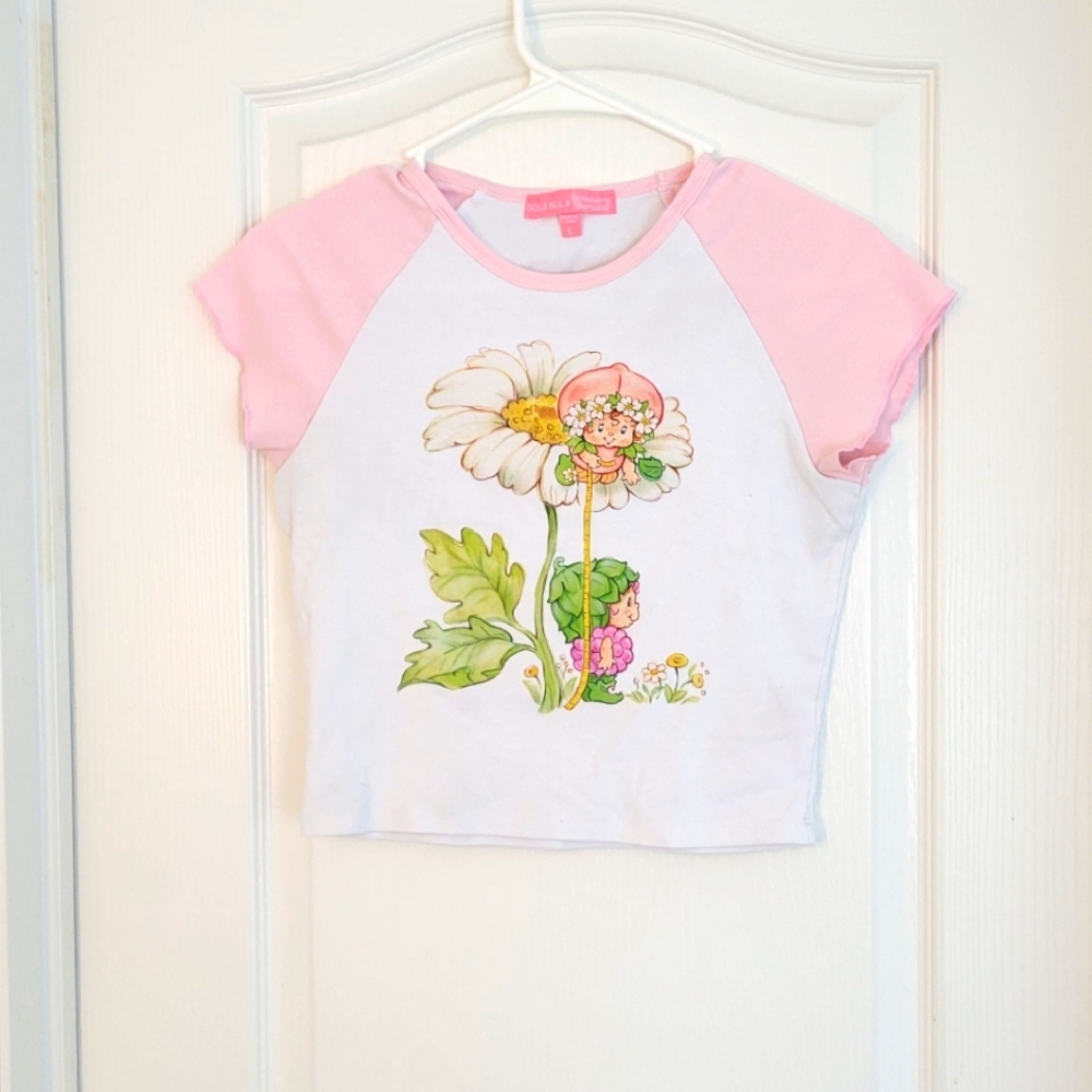 Dolls Kill Strawberry Shortcake Baby Tee L